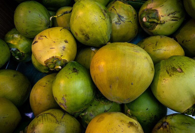 Pesquisadores usam resíduo urbano para produzir diesel verde de coco