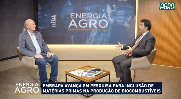 Biomassa: Inovações para Energia Mais Eficiente