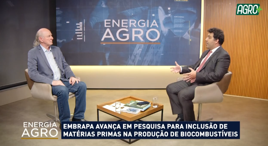 Biomassa: Inovações para Energia Mais Eficiente