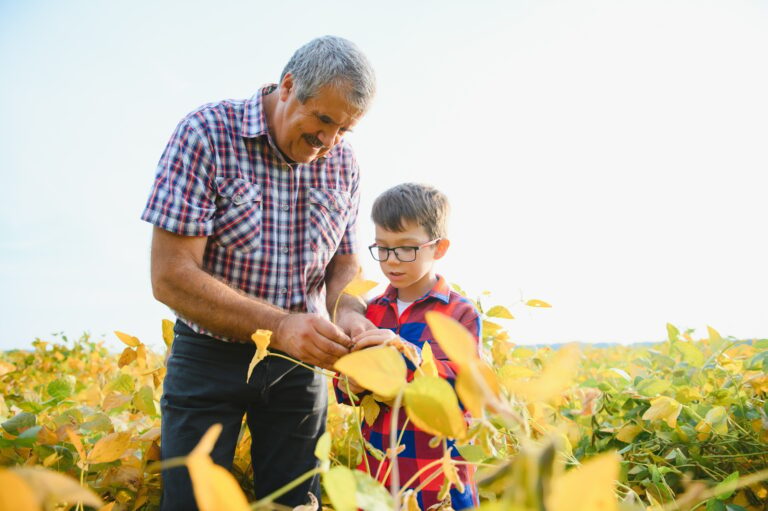 Family farming. Farmers grandfather with little grandson on soybean field.